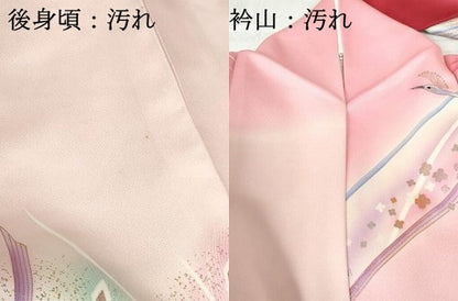 平和屋着物■豪華振袖　孔雀花文　金彩　正絹　逸品　DABE0859qa