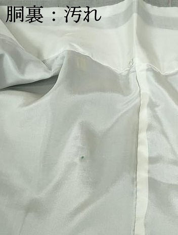 平和屋着物■上質な紬　舞蝶文　正絹　逸品　DABE0873qa