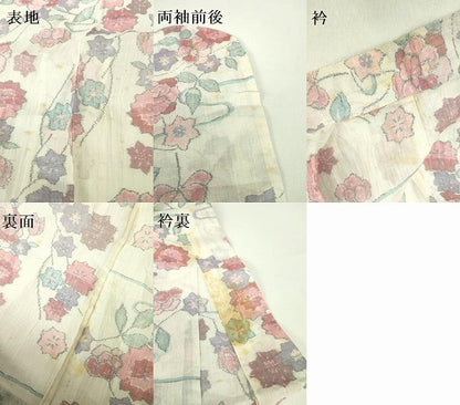 平和屋着物＊夏物　本場小千谷ちぢみ　草花　麻　逸品　DABE1396op