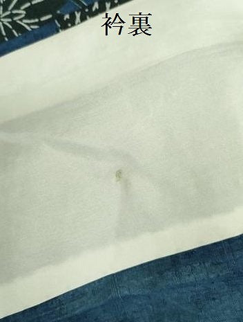 平和屋着物▽上質な小紋　単衣　紬地　藍　型染　草花　正絹　逸品　未使用　DABE1401op
