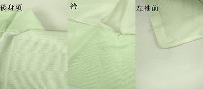 平和屋着物＊夏物 訪問着 絽 手描き 枝楓文 銀彩 洗える着物 DABE1422op