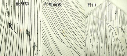 平和屋着物＊夏物 小紋 縦絽 魚 正絹 逸品 DABE1430op
