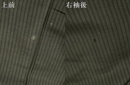 平和屋着物＊夏物 男性 紗紬 縞 正絹 逸品 DABE1467op