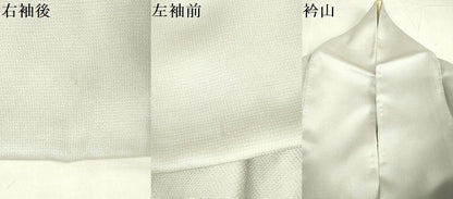 平和屋着物▽訪問着　単衣　刺繍　南天　暈し染め　金彩　正絹　逸品　DABE1483op