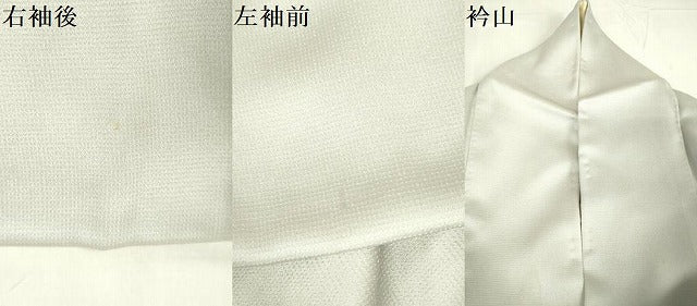 平和屋着物▽訪問着　単衣　刺繍　南天　暈し染め　金彩　正絹　逸品　DABE1483op