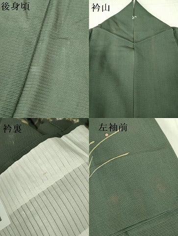 平和屋着物＊夏物 訪問着 絽 草花 正絹 逸品 DABE1834op