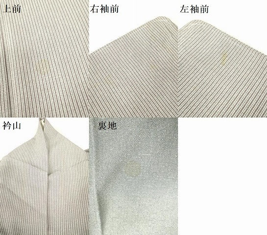 平和屋着物＊夏物 江戸小紋 絽縮緬 両面染 縞 正絹 逸品 DABE1836op