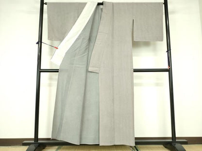 平和屋着物＊夏物 江戸小紋 絽縮緬 両面染 縞 正絹 逸品 DABE1836op