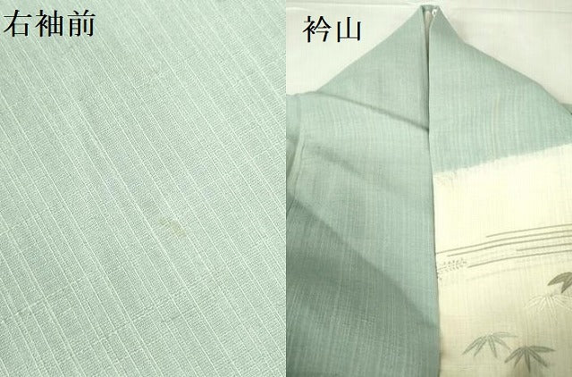 平和屋着物＊夏物 染織の名門 しょうざん 生紬 訪問着 絞り 花芝文 金彩 正絹 逸品 DABE1840op