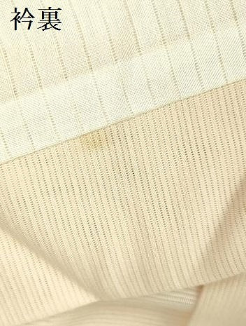 平和屋着物＊夏物 訪問着 絽 草花 暈し染め 銀彩 正絹 逸品 DABE1843op