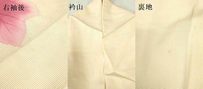平和屋着物＊夏物 訪問着 絽 手描き 草花 正絹 逸品 DABE1847op