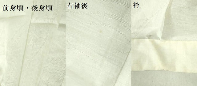 平和屋着物＊夏物 長襦袢 舞花紋紗 洗える着物 DABE1854op