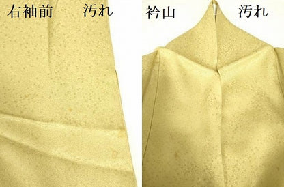平和屋着物■訪問着 草花 暈し染め 金彩 正絹 逸品 DABE1947op