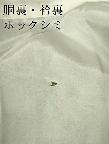 平和屋着物■上質な紬 舞花 正絹 逸品 DABE1985op