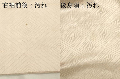 平和屋着物■訪問着　風景文　鉾　正絹　逸品　DABE2563cd