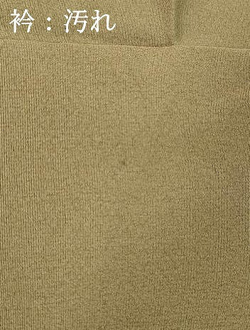 平和屋着物■訪問着　刺繍　花鳥文　金彩　正絹　逸品　DABE2762cd