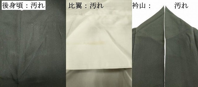 平和屋着物■豪華黒留袖 作家物 花鳥文 金銀彩 正絹 逸品 DABE2806cd