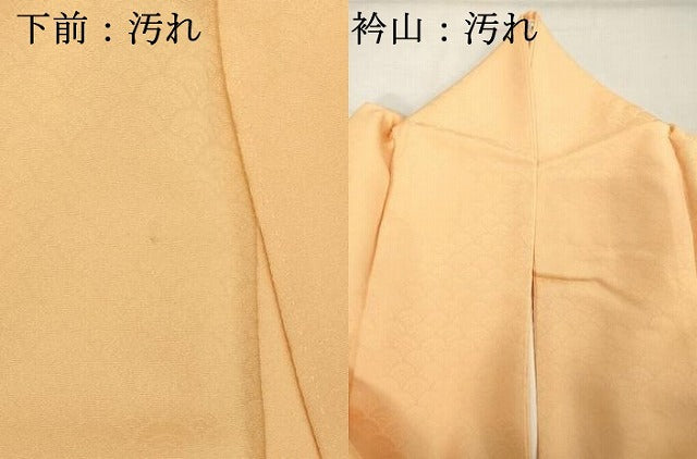 平和屋着物■色留訪問着　立波青海波地紋　卵色　正絹　逸品　DABE2810cd