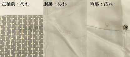 平和屋着物■上質な小紋 抽象文様 正絹 逸品 DABE2821cd