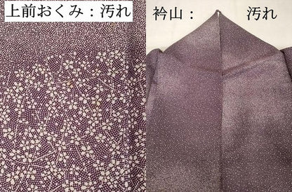 平和屋着物■訪問着　江戸小紋　重ね山花文　正絹　逸品　DABE2833cd