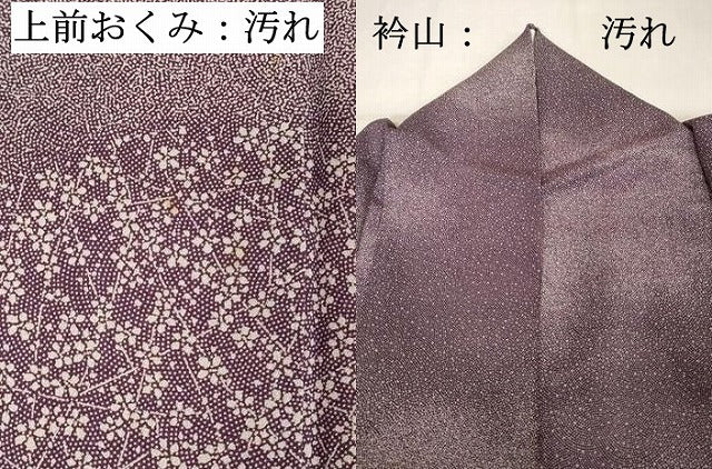 平和屋着物■訪問着　江戸小紋　重ね山花文　正絹　逸品　DABE2833cd