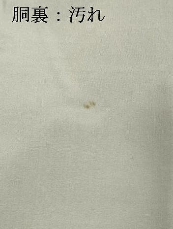 平和屋着物■上質な紬　麻の葉文様　正絹　逸品　未使用　DABE2837cd