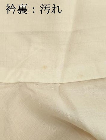 平和屋着物■上質な小紋　舞花文　正絹　逸品　DABE2922cd