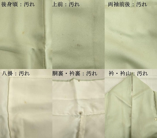 平和屋着物■訪問着　草葉文　金彩　正絹　逸品　DABE2935cd