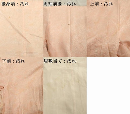 平和屋着物■長襦袢　無双仕立て　舞花文　暈し染め　正絹　逸品　DABE2966cd