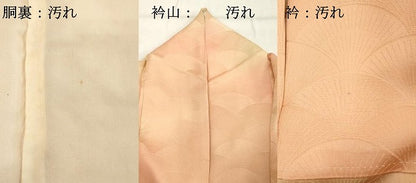 平和屋着物■上質な小紋 青海波地紋 暈し染め 正絹 逸品 DABE2987cd