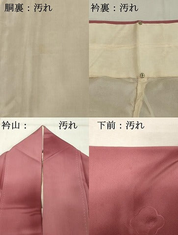平和屋着物■上質な小紋 地紋起こし 舞梅文 暈し染め 正絹 逸品 DABE2995cd