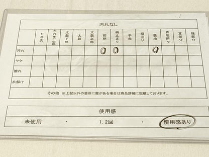 平和屋着物◎六通柄袋帯　横段花文　金銀糸　正絹　逸品　DABE3971qp