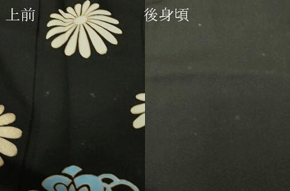 平和屋着物▽訪問着　単衣　駒刺繍　菊文　黒地　金彩　正絹　逸品　DABE4316az