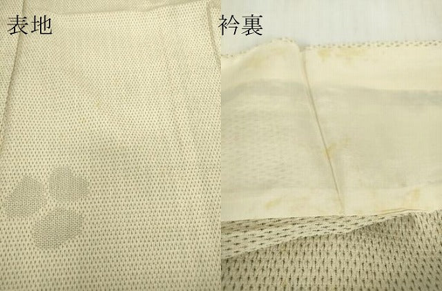 平和屋着物▽本塩沢　単衣　舞花文　110亀甲　正絹　逸品　DABE4448az