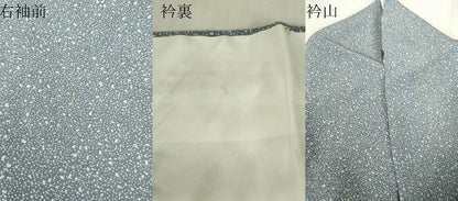 平和屋着物▽訪問着　単衣　扇面花文　たたき染め　正絹　逸品　DABE4458az