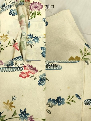 平和屋着物▽上質な小紋　単衣　型染め　エ霞花文　正絹　逸品　DABE4498az