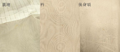 平和屋着物▽中国三大刺繍　スワトウ刺繍　汕頭刺繍　訪問着　無双　紗袷　紗×紗　草花文　正絹　逸品　DABE4535az