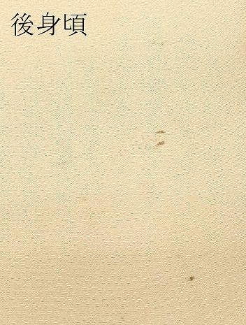 平和屋着物▽訪問着　単衣　舞梅文　金彩　正絹　逸品　DABE4804az