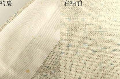 平和屋着物▽白鷹お召　単衣　幾何学文　正絹　逸品　DABE4813az