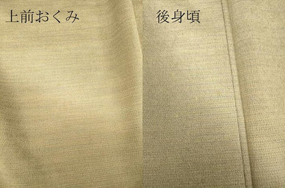 平和屋着物▽本塩沢　やまだ織　訪問着　染色作家　桐村博　単衣　雪の中のきれ　霞文　証紙付き　正絹　逸品　未使用　DABE4832az