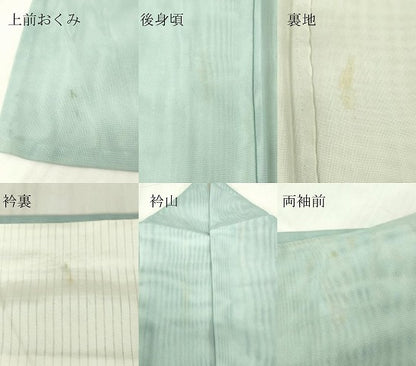 平和屋着物▽訪問着　無双　紗袷　紗×紗　杜若　金彩　正絹　逸品　DABE5000az
