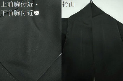平和屋着物●豪華黒留袖　作家物　鳳凰花文　金銀彩　正絹　逸品　DABE5649ps