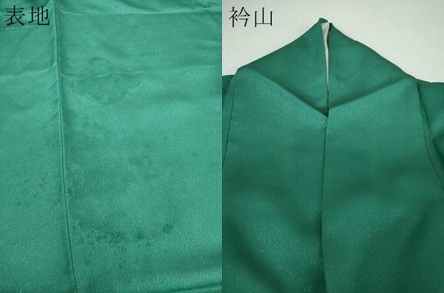 平和屋着物●訪問着　ペイズリー花文　暈し染め　金銀彩　銀通し地　正絹　逸品　DABE5674ps