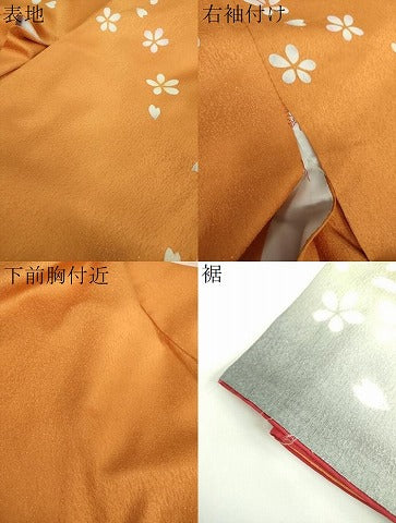 平和屋着物●豪華振袖　舞桜　暈し染め　金彩　銀通し地　正絹　逸品　DABE5682ps