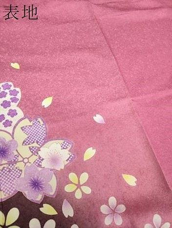 平和屋着物●豪華振袖　舞桜　暈し染め　金彩　銀通し地　正絹　逸品　DABE5686ps