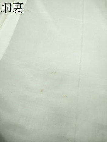 平和屋着物●本場大島紬　白大島　名匠たかし　9マルキ　霞花文　証紙付き　正絹　逸品　未使用　DABE5823ps