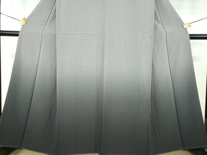 平和屋着物●色留訪問着　霞文　暈し染め　正絹　逸品　DABE5852ps