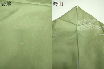 平和屋着物●訪問着　刺繍　草花文　金彩　正絹　逸品　DABE5924ps