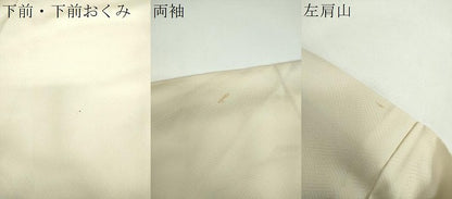 平和屋着物●訪問着　胴抜き仕立て　枝垂れ桜　暈し染め　金銀彩　正絹　逸品　DABE5935ps