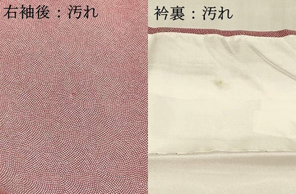 平和屋着物■江戸小紋　鮫小紋柄　正絹　逸品　DABE6089cm